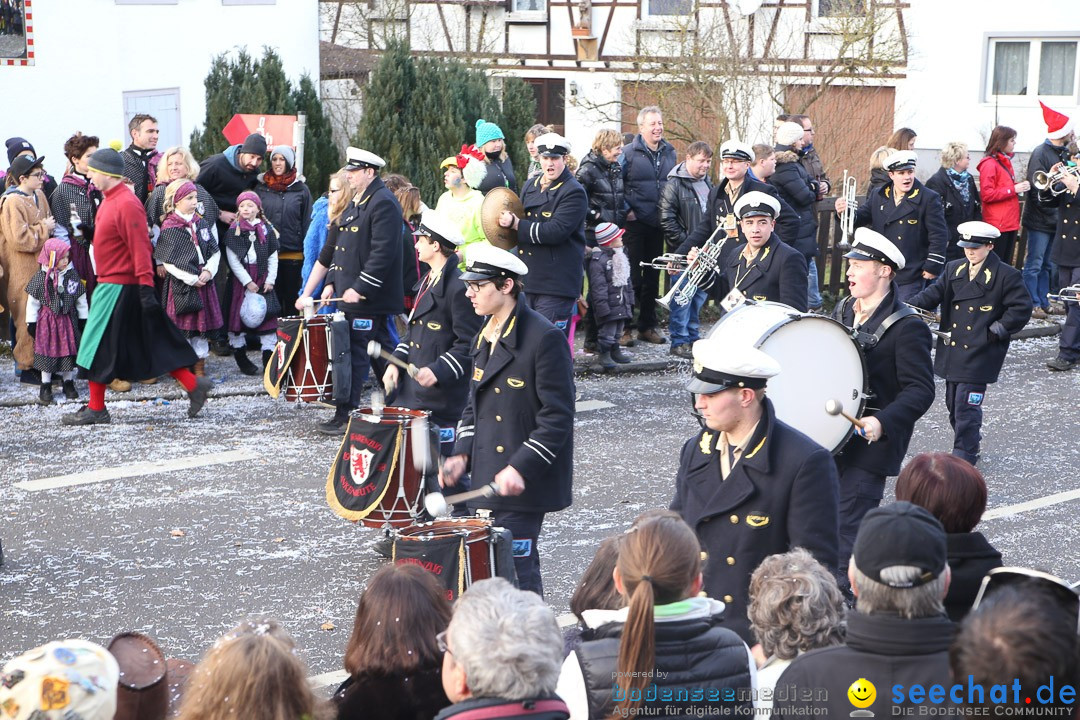 Narrensprung: Hasenweiler am Bodensee, 12.01.2014