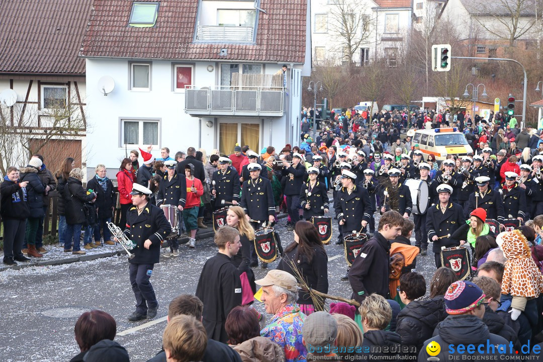 Narrensprung: Hasenweiler am Bodensee, 12.01.2014