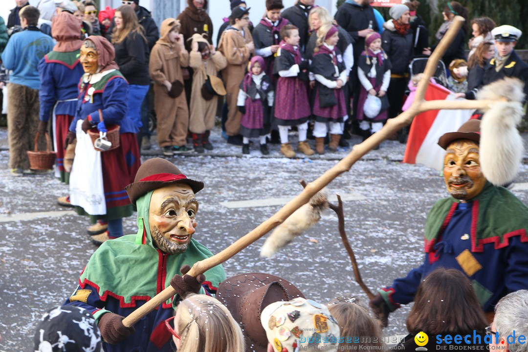 Narrensprung: Hasenweiler am Bodensee, 12.01.2014