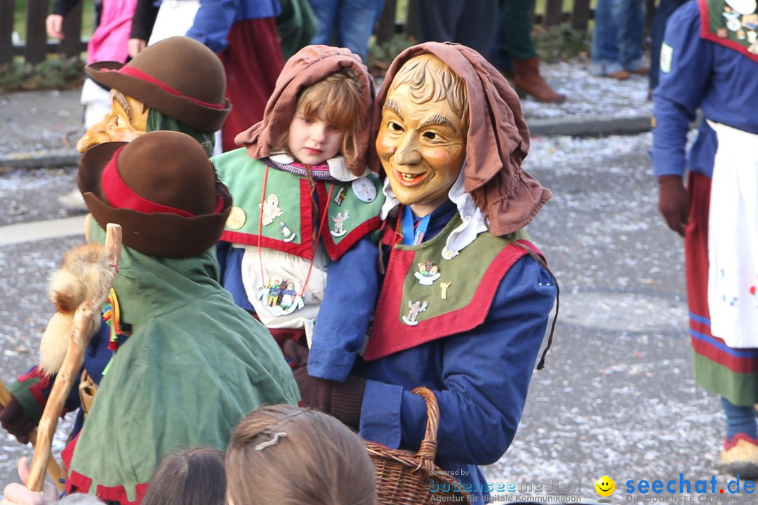 Narrensprung: Hasenweiler am Bodensee, 12.01.2014