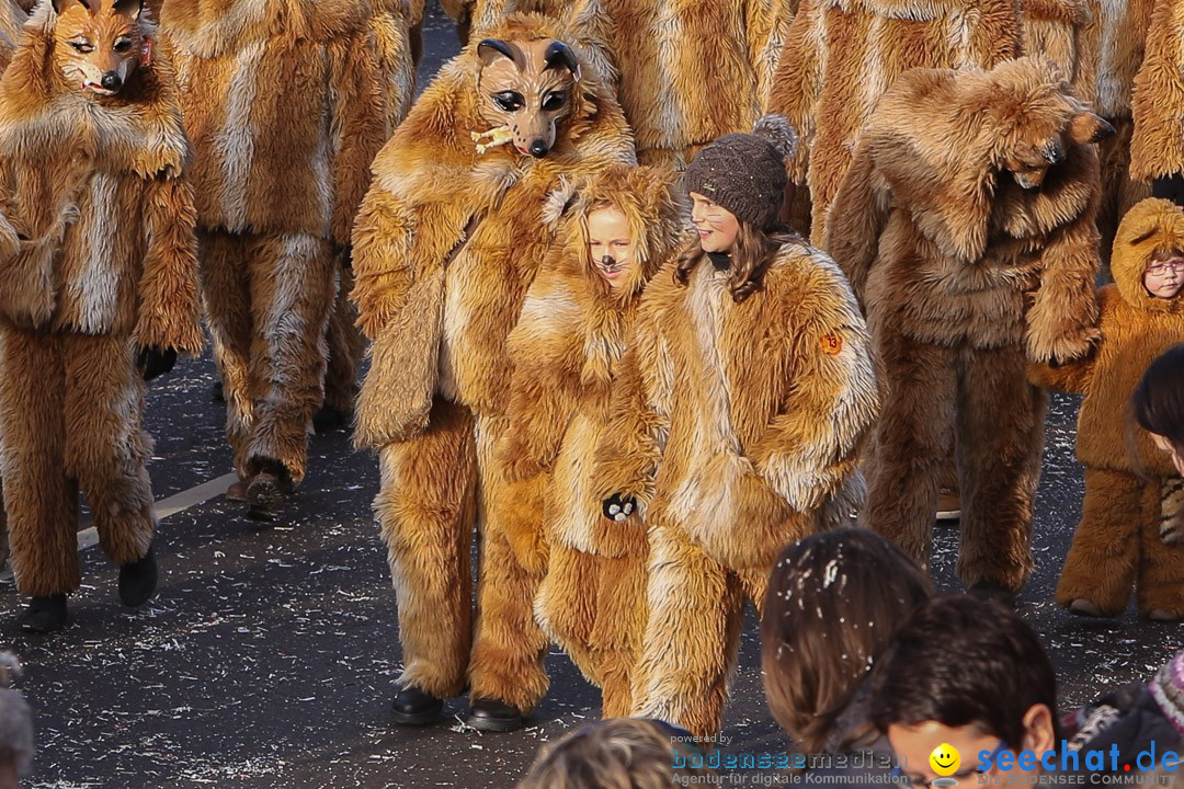 Narrensprung: Hasenweiler am Bodensee, 12.01.2014