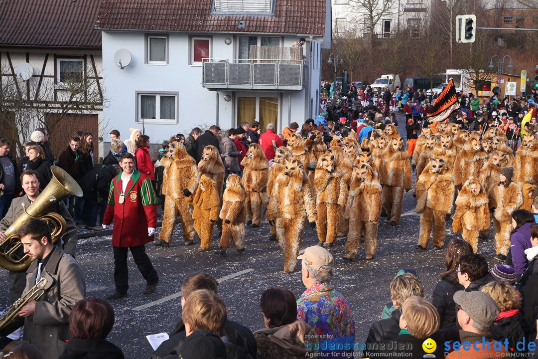 Narrensprung: Hasenweiler am Bodensee, 12.01.2014