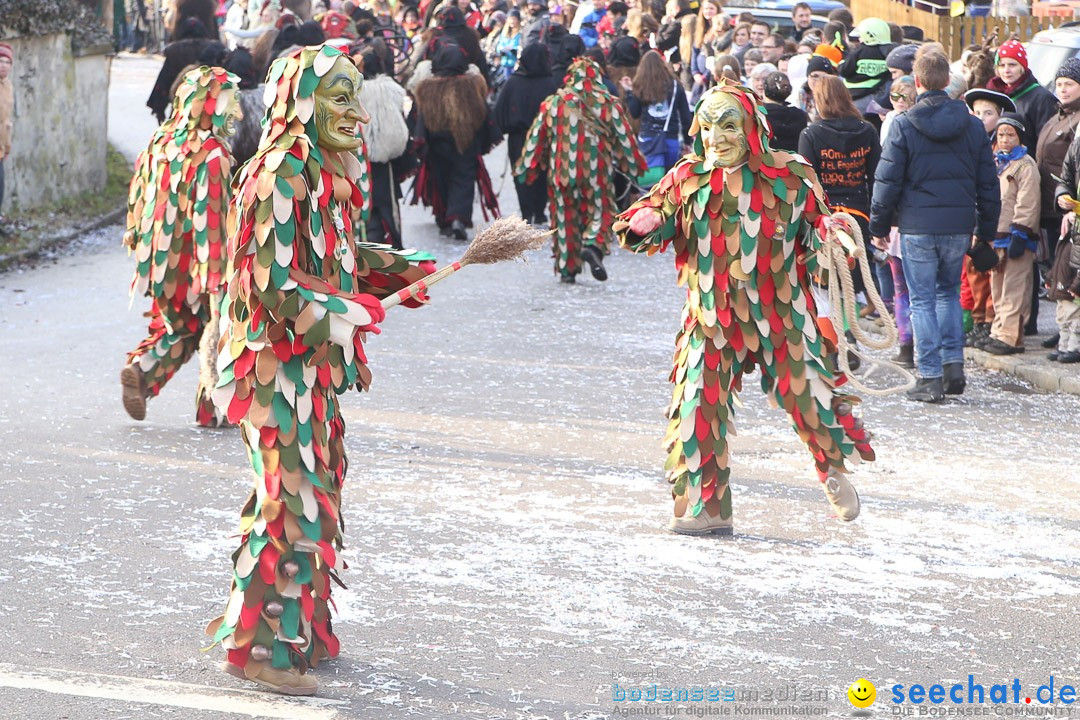 Narrensprung: Hasenweiler am Bodensee, 12.01.2014