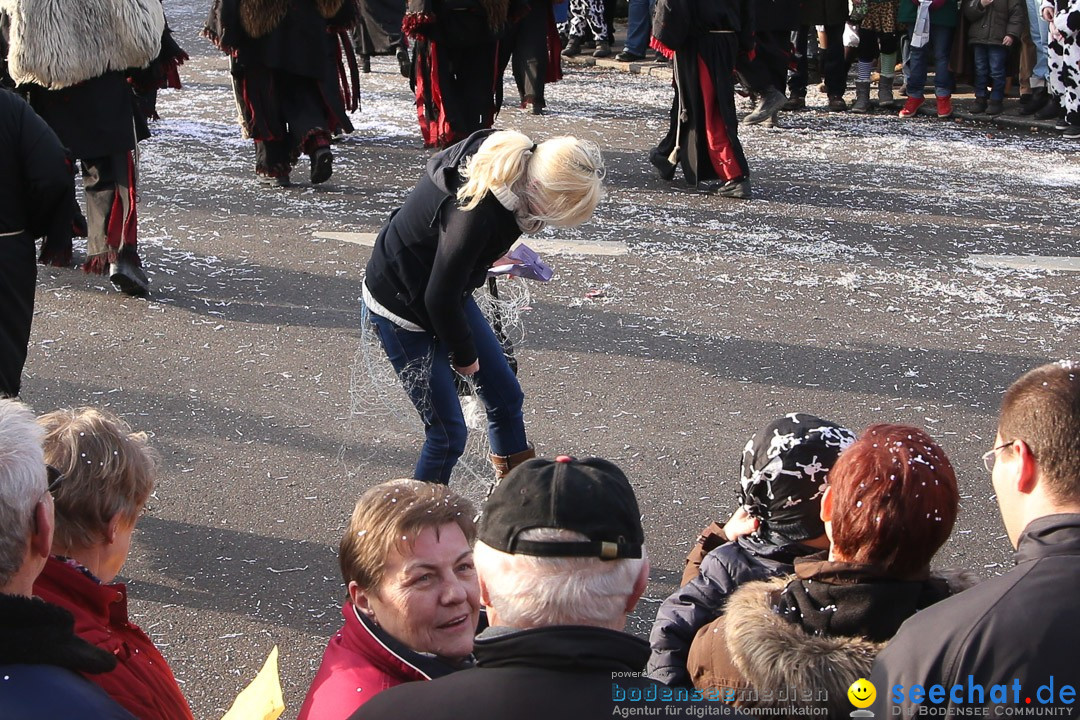 Narrensprung: Hasenweiler am Bodensee, 12.01.2014