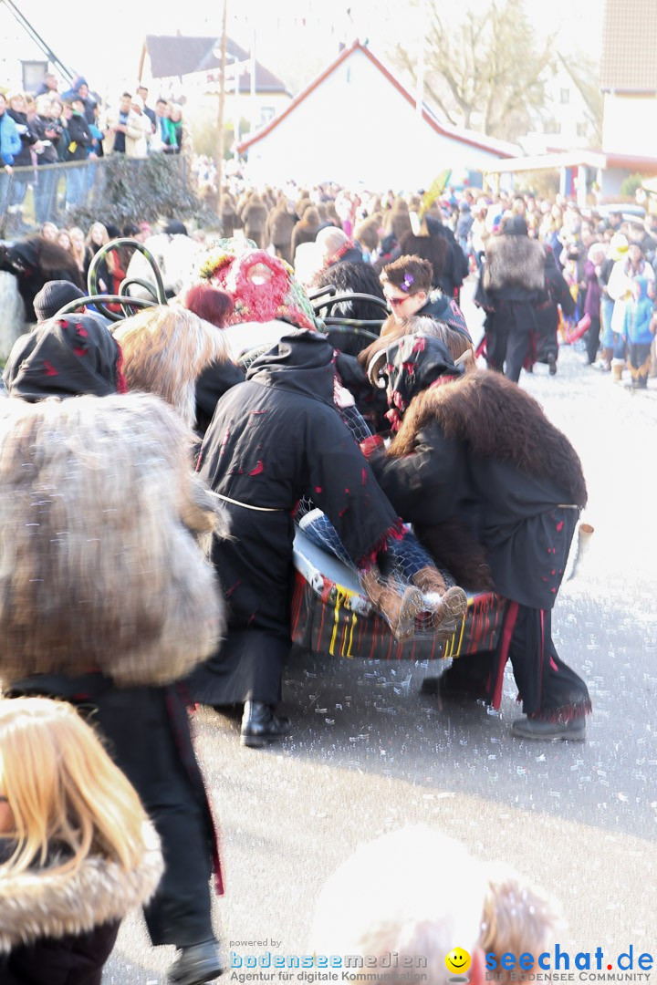 Narrensprung: Hasenweiler am Bodensee, 12.01.2014