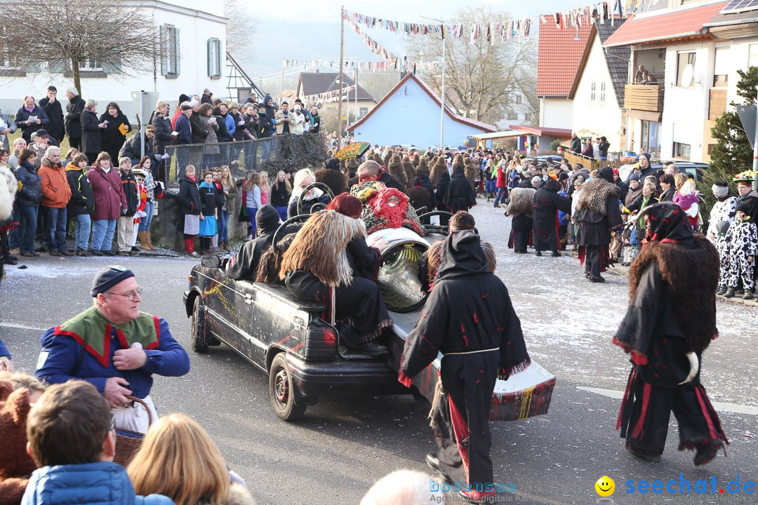 Narrensprung: Hasenweiler am Bodensee, 12.01.2014