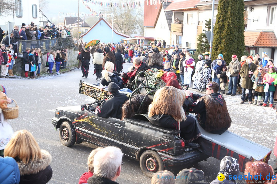 Narrensprung: Hasenweiler am Bodensee, 12.01.2014