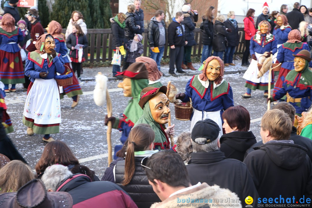 Narrensprung: Hasenweiler am Bodensee, 12.01.2014