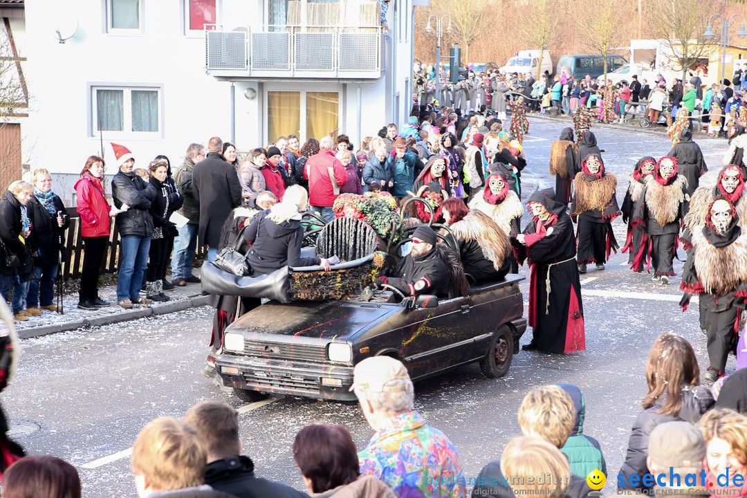 Narrensprung: Hasenweiler am Bodensee, 12.01.2014