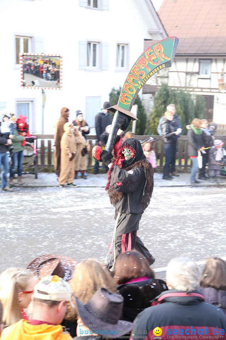 Narrensprung: Hasenweiler am Bodensee, 12.01.2014