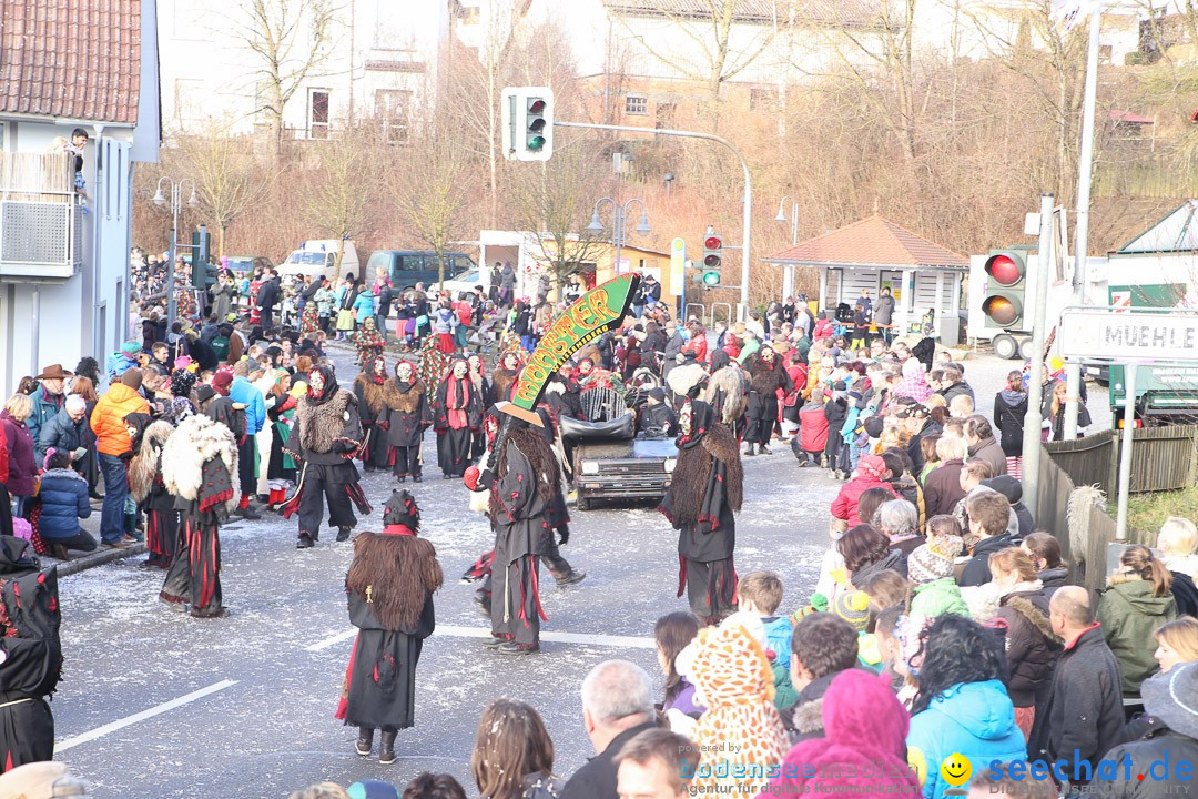 Narrensprung: Hasenweiler am Bodensee, 12.01.2014