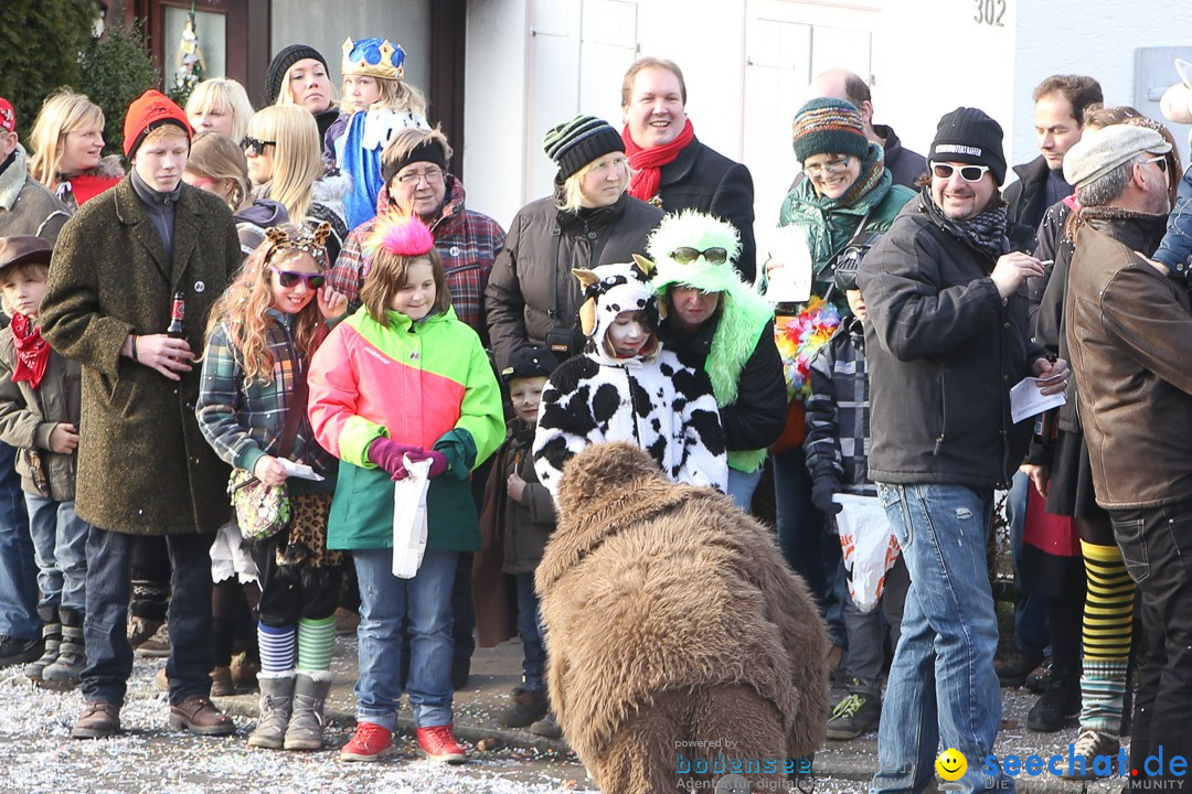 Narrensprung: Hasenweiler am Bodensee, 12.01.2014