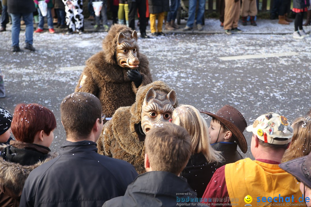 Narrensprung: Hasenweiler am Bodensee, 12.01.2014