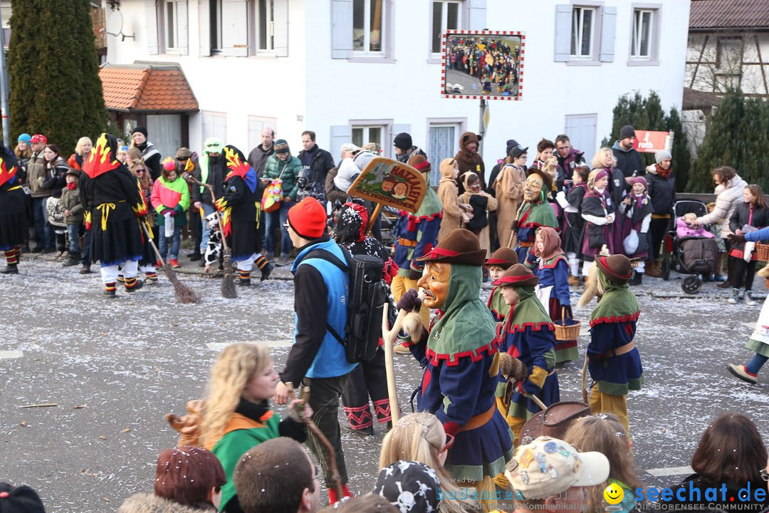 Narrensprung: Hasenweiler am Bodensee, 12.01.2014