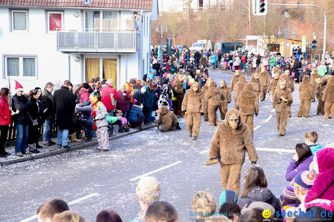 Narrensprung: Hasenweiler am Bodensee, 12.01.2014