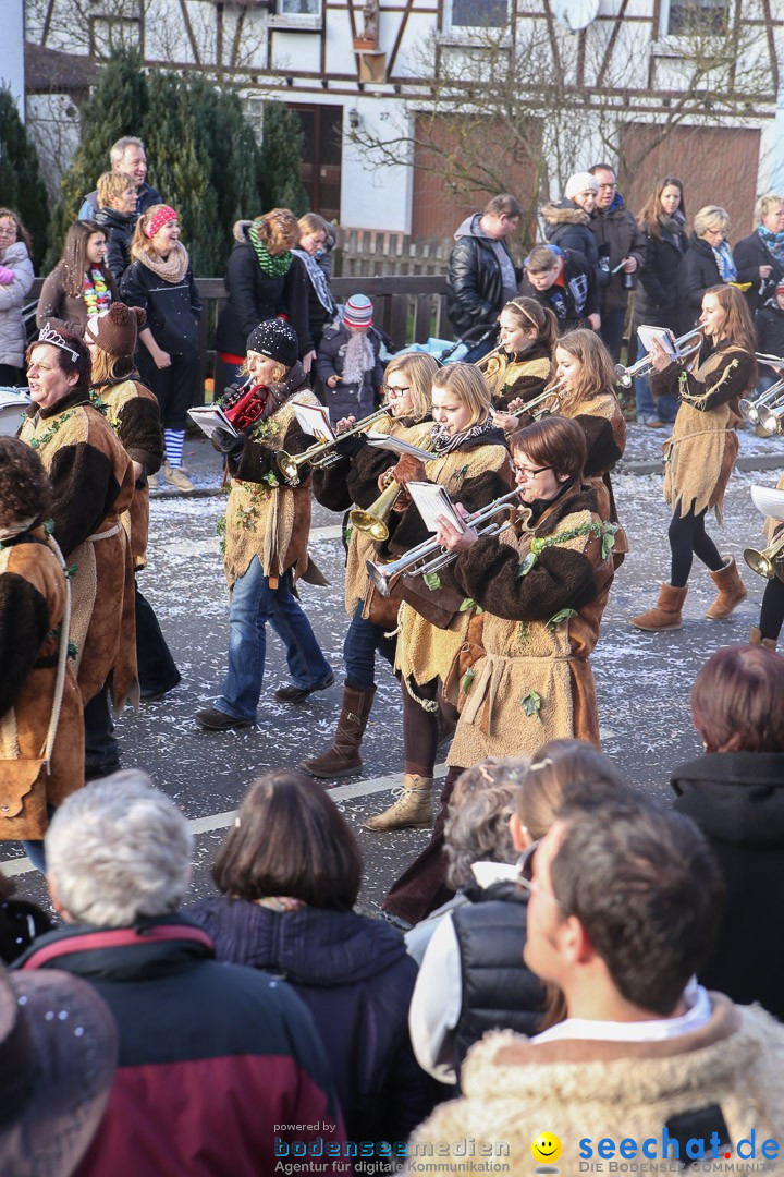 Narrensprung: Hasenweiler am Bodensee, 12.01.2014