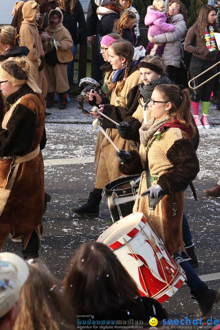 Narrensprung: Hasenweiler am Bodensee, 12.01.2014