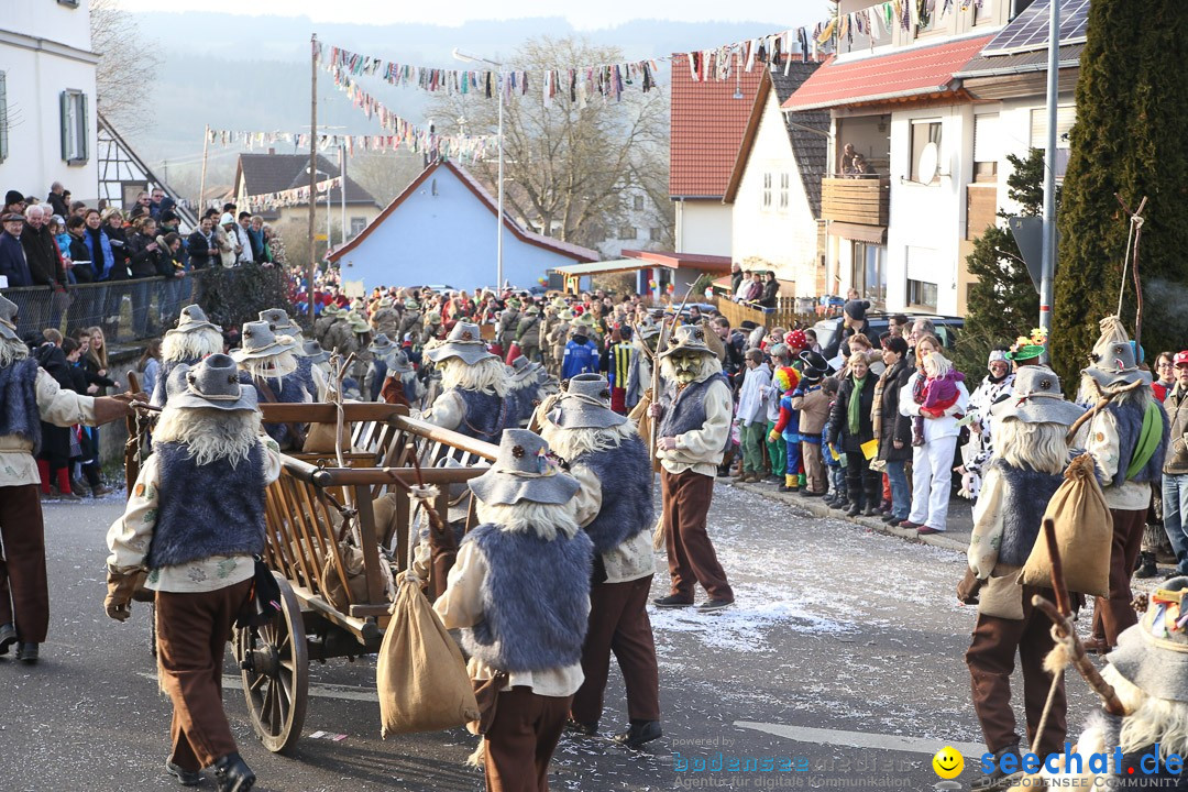 Narrensprung: Hasenweiler am Bodensee, 12.01.2014