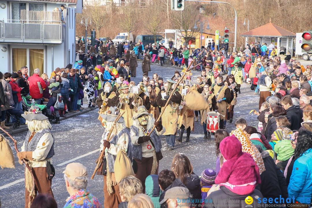 Narrensprung: Hasenweiler am Bodensee, 12.01.2014