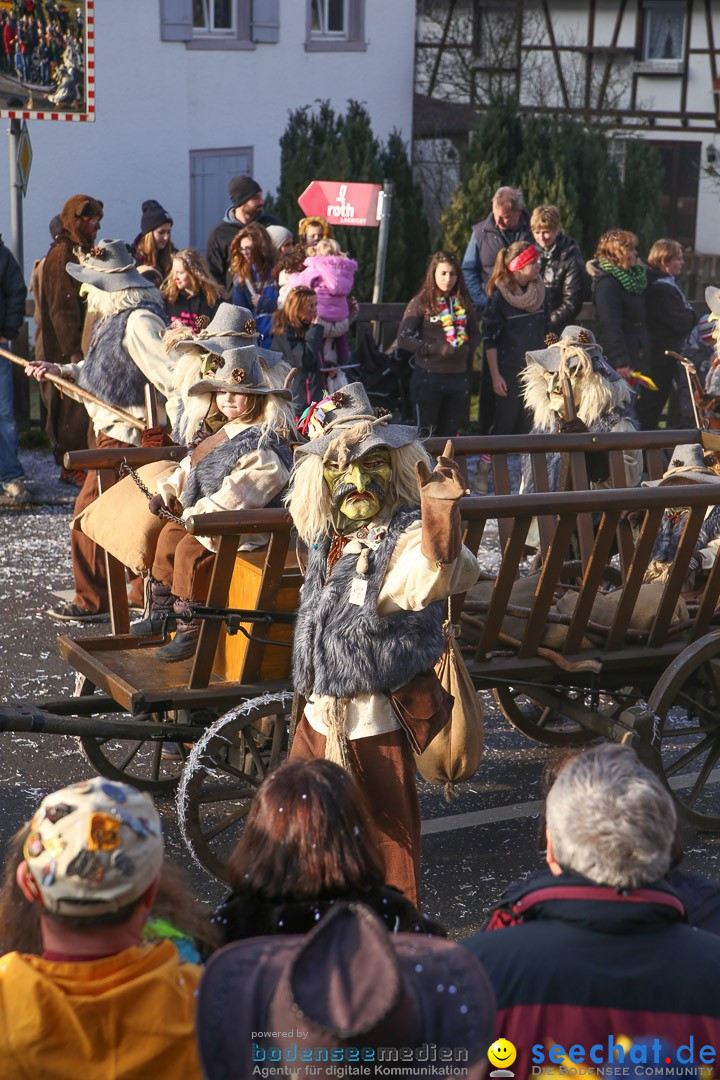 Narrensprung: Hasenweiler am Bodensee, 12.01.2014