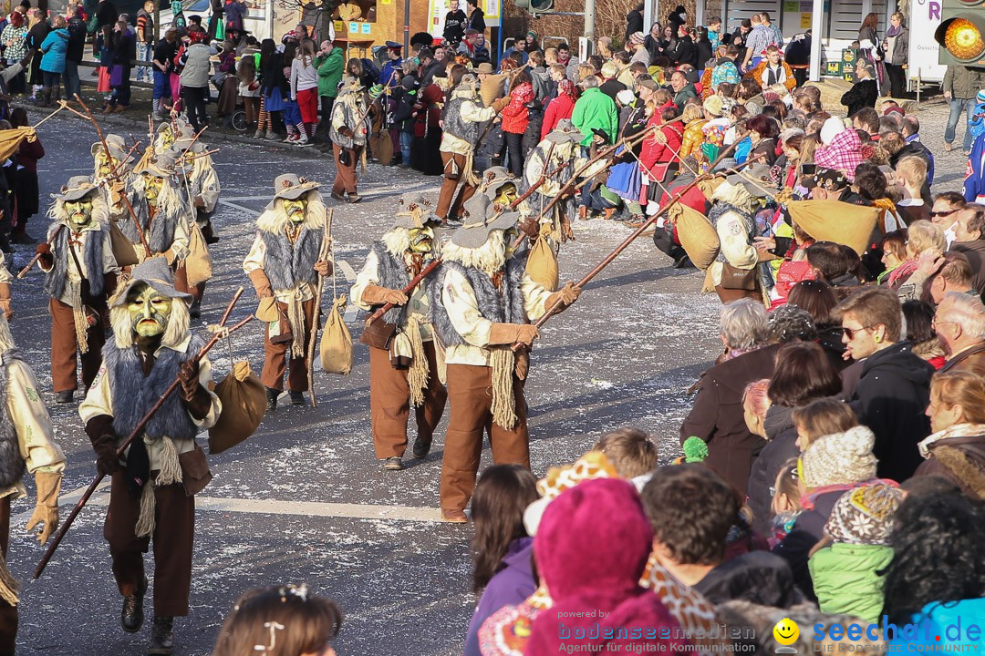 Narrensprung: Hasenweiler am Bodensee, 12.01.2014