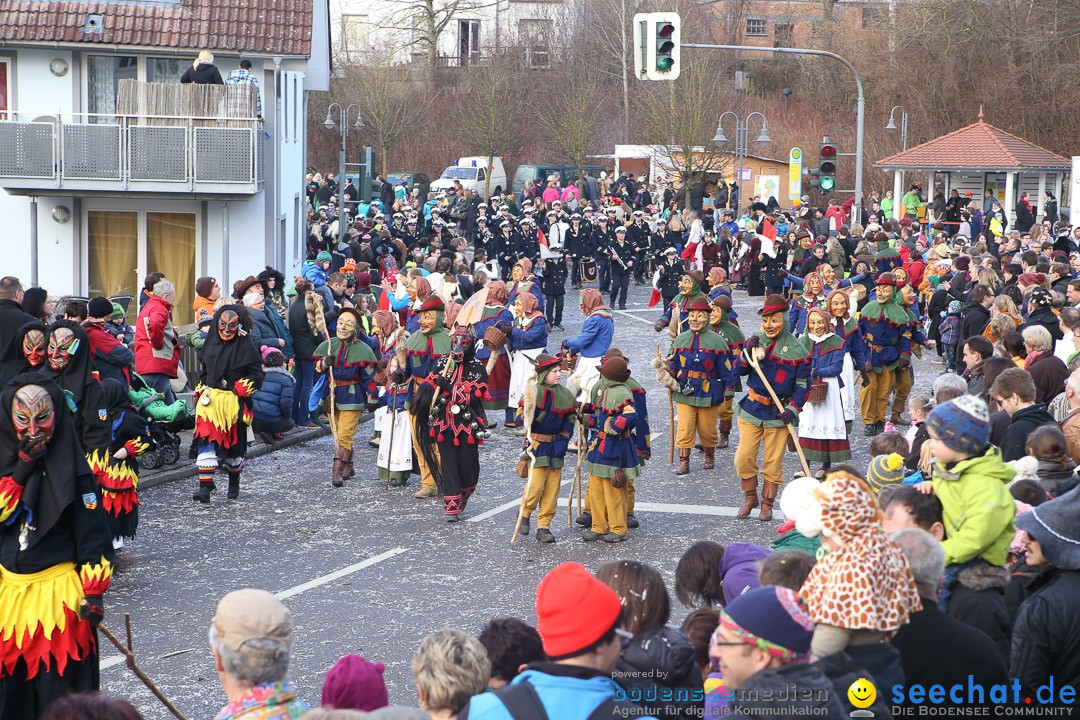 Narrensprung: Hasenweiler am Bodensee, 12.01.2014