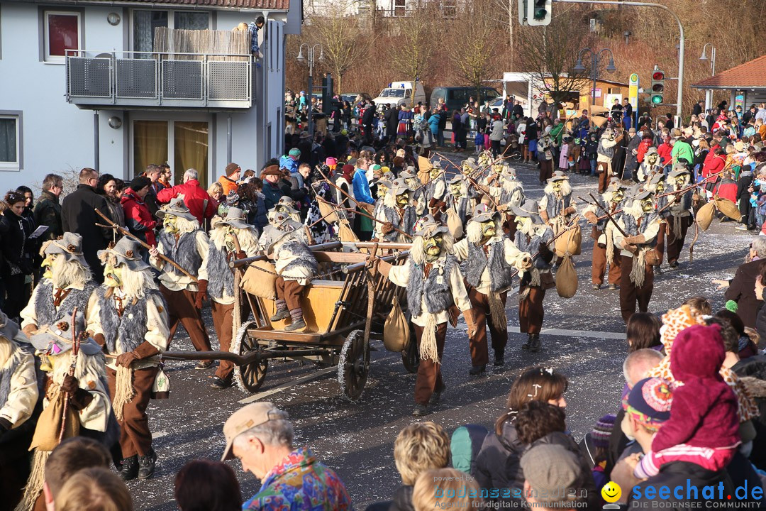 Narrensprung: Hasenweiler am Bodensee, 12.01.2014