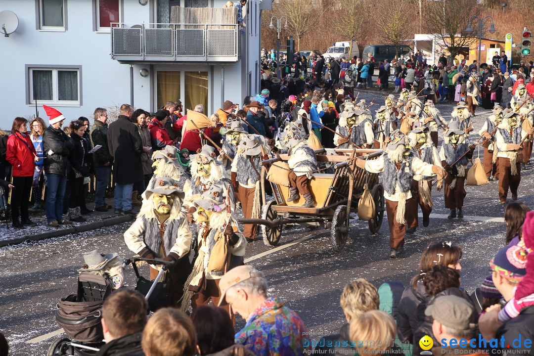 Narrensprung: Hasenweiler am Bodensee, 12.01.2014