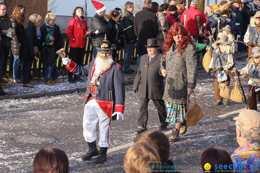 Narrensprung: Hasenweiler am Bodensee, 12.01.2014