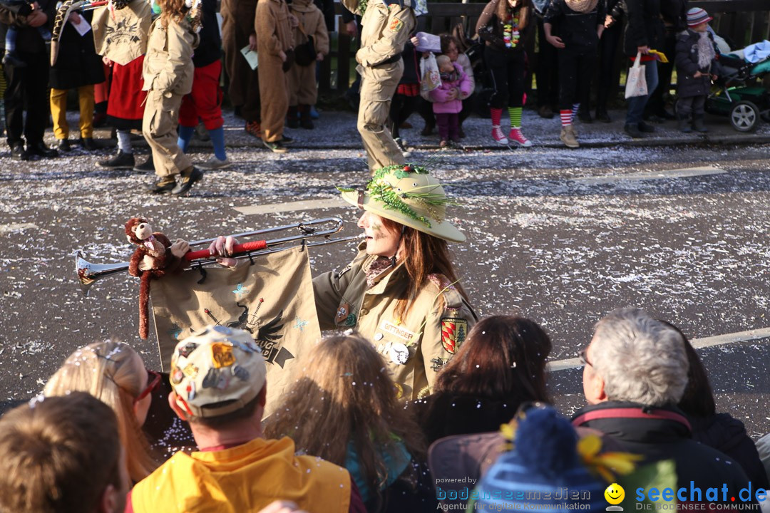 Narrensprung: Hasenweiler am Bodensee, 12.01.2014