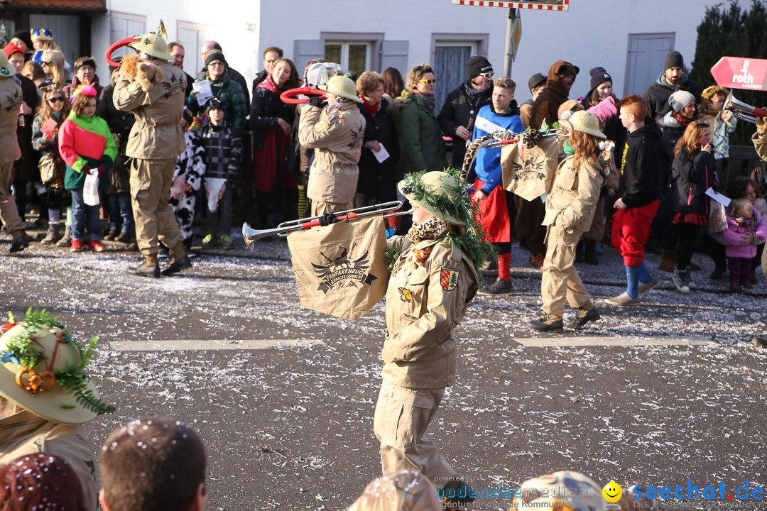 Narrensprung: Hasenweiler am Bodensee, 12.01.2014