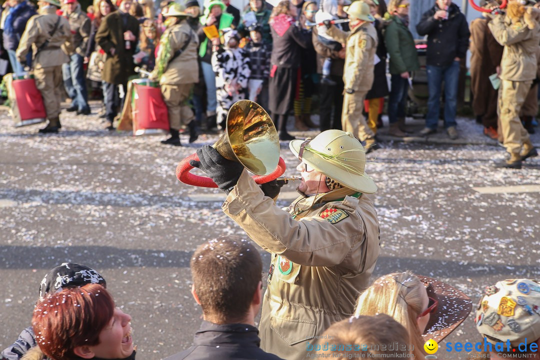 Narrensprung: Hasenweiler am Bodensee, 12.01.2014