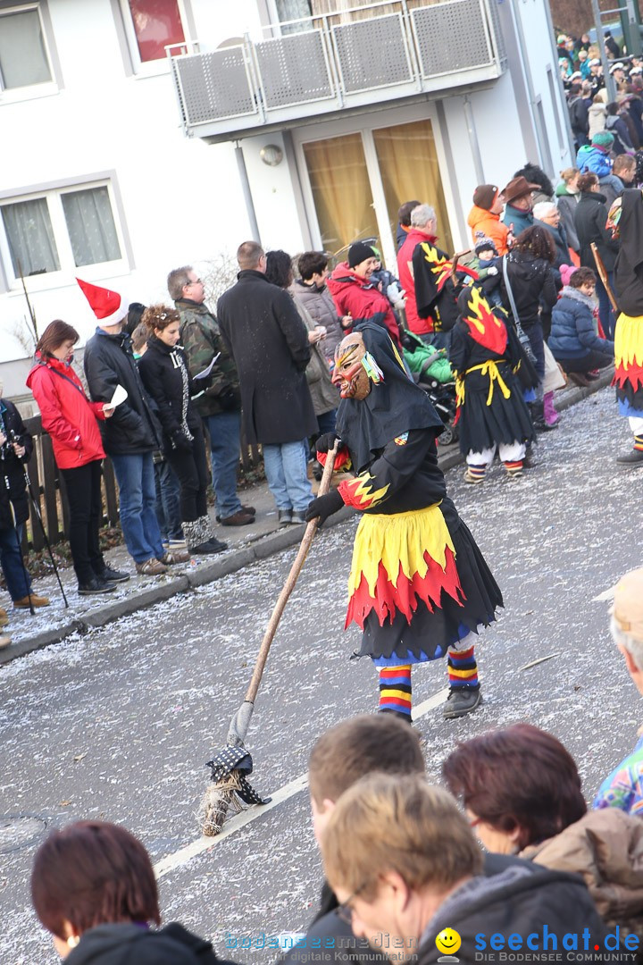 Narrensprung: Hasenweiler am Bodensee, 12.01.2014