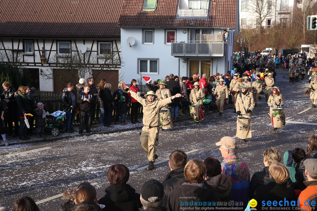 Narrensprung: Hasenweiler am Bodensee, 12.01.2014