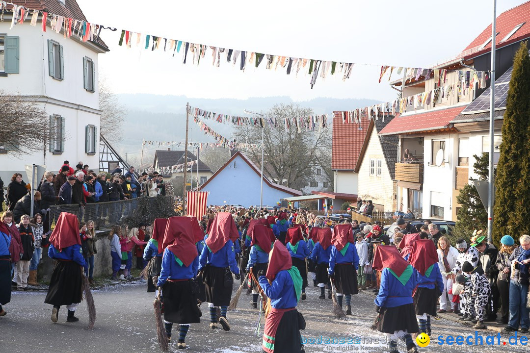 Narrensprung: Hasenweiler am Bodensee, 12.01.2014