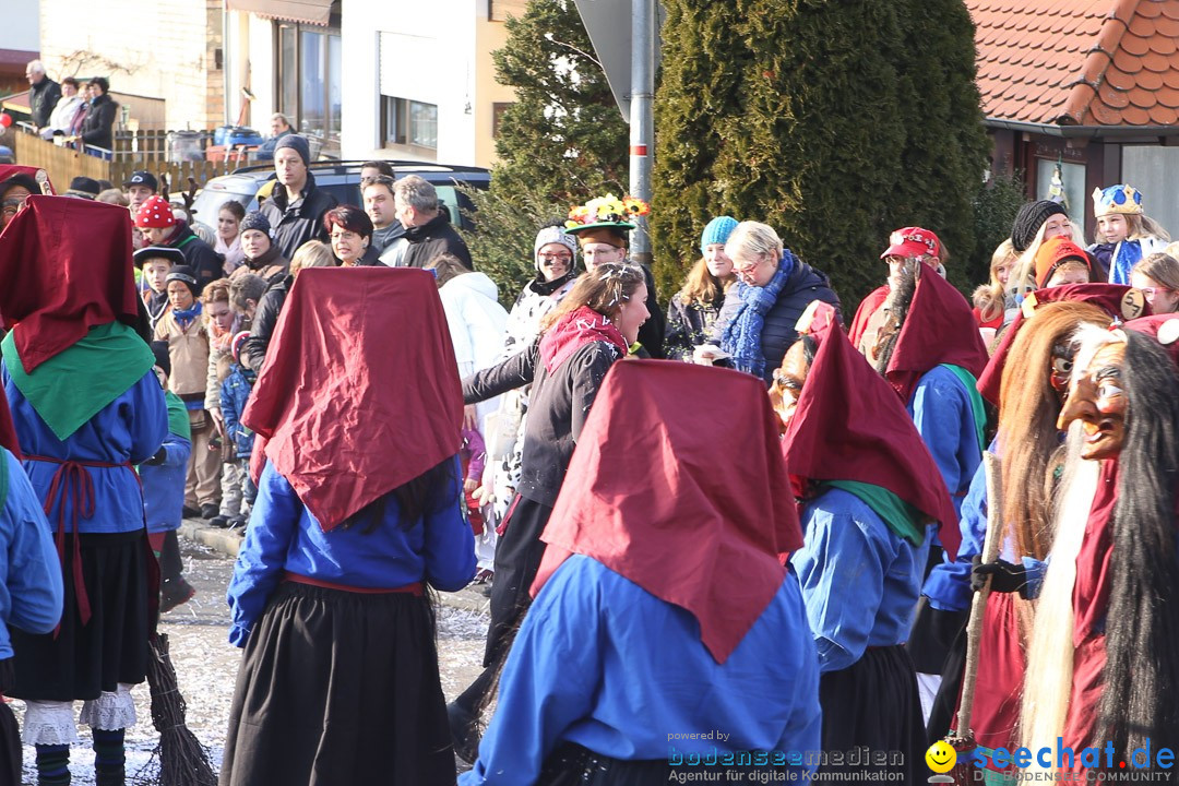 Narrensprung: Hasenweiler am Bodensee, 12.01.2014