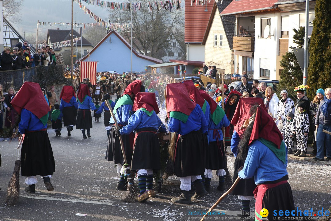 Narrensprung: Hasenweiler am Bodensee, 12.01.2014