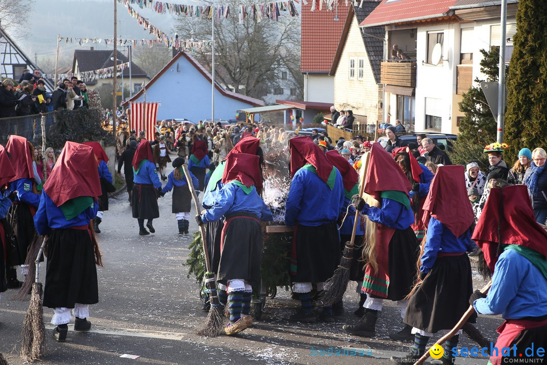 Narrensprung: Hasenweiler am Bodensee, 12.01.2014