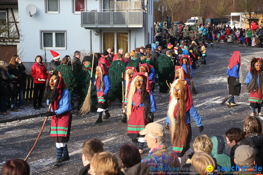 Narrensprung: Hasenweiler am Bodensee, 12.01.2014