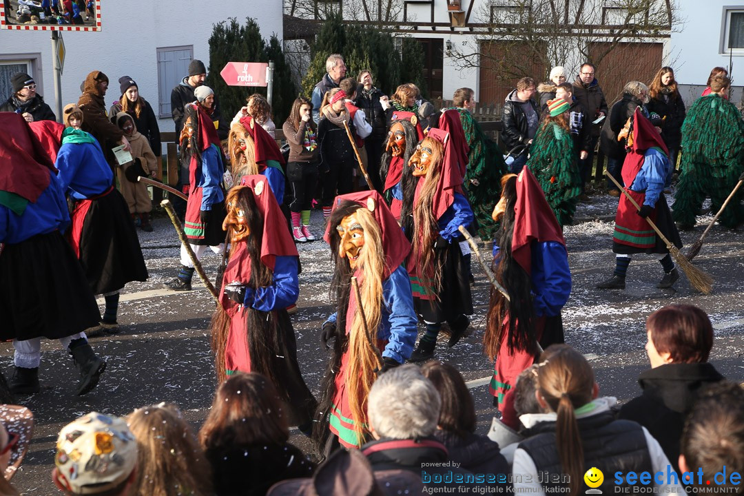 Narrensprung: Hasenweiler am Bodensee, 12.01.2014