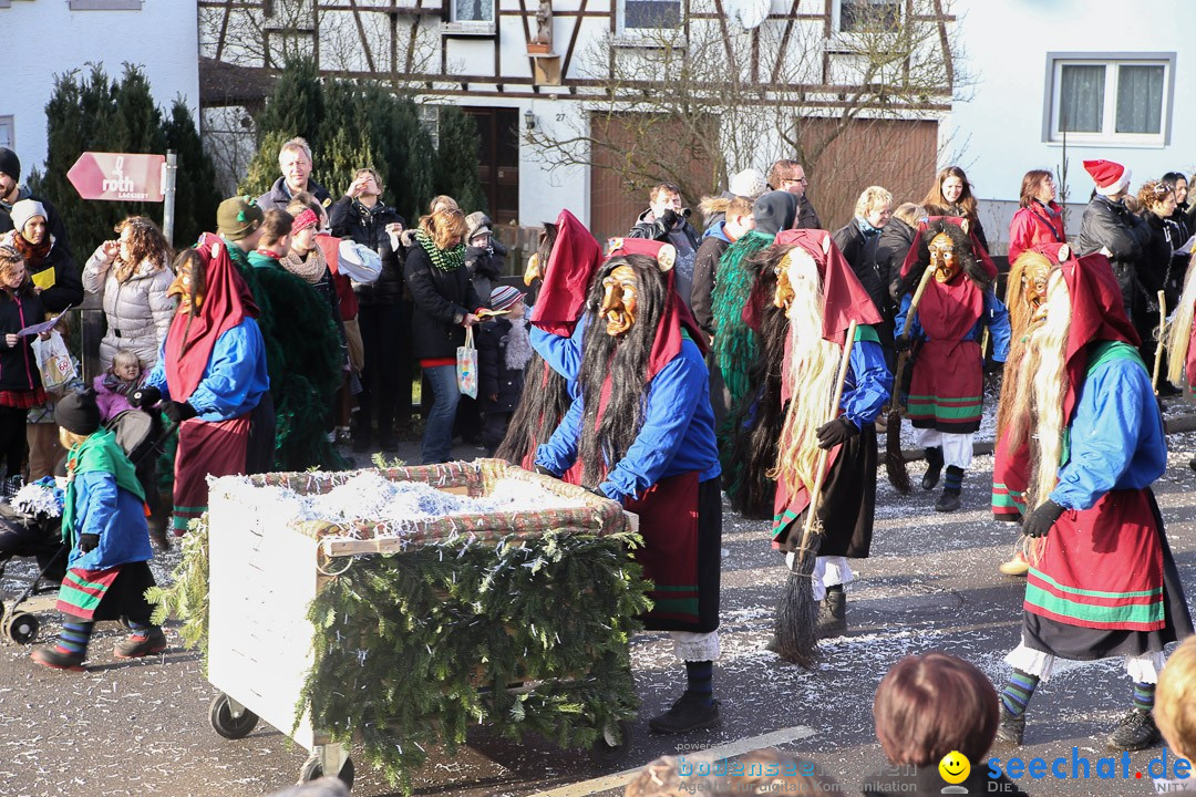 Narrensprung: Hasenweiler am Bodensee, 12.01.2014