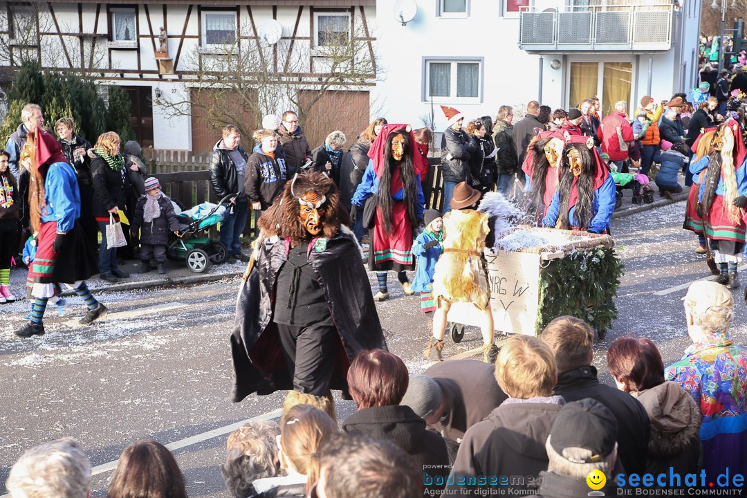 Narrensprung: Hasenweiler am Bodensee, 12.01.2014