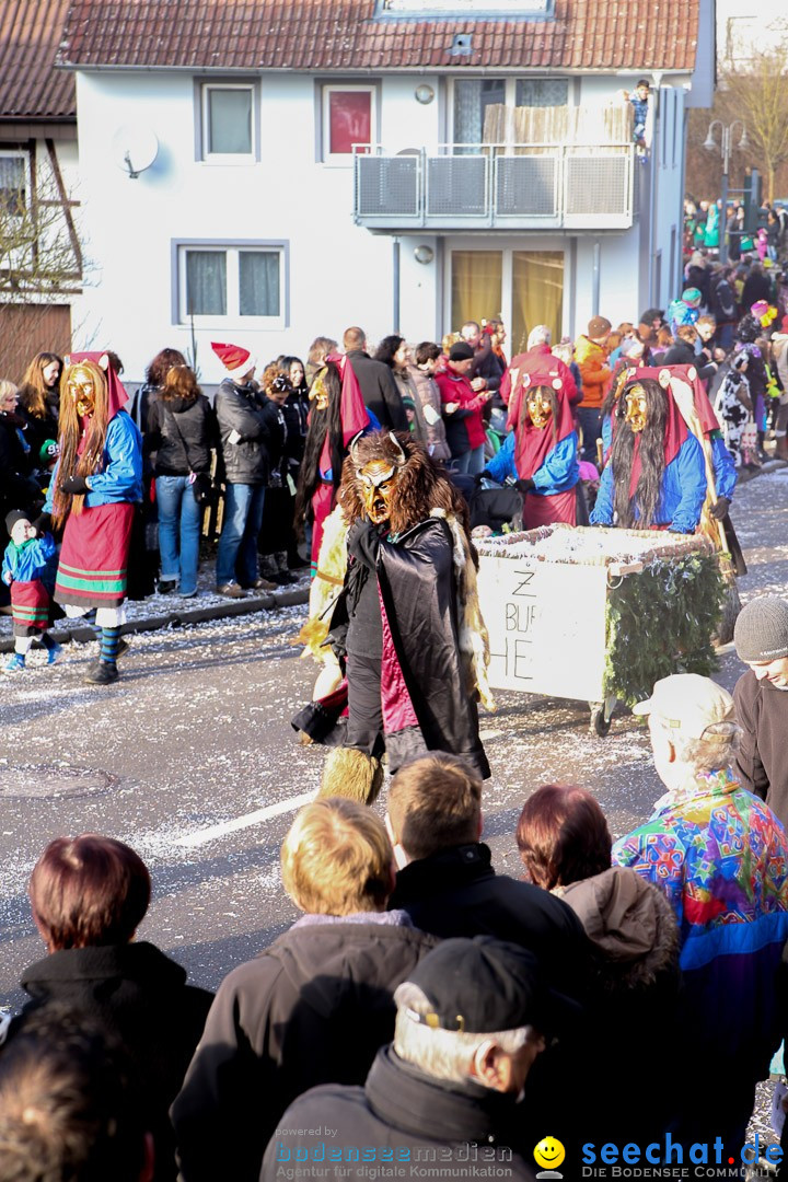 Narrensprung: Hasenweiler am Bodensee, 12.01.2014