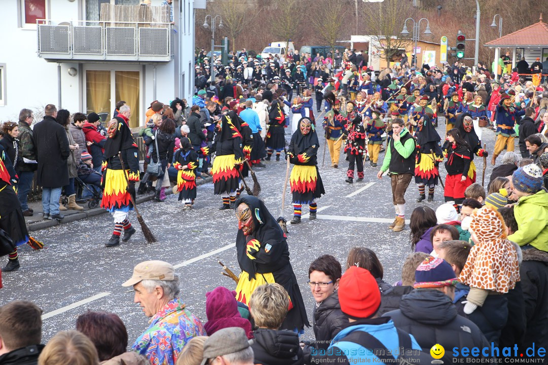 Narrensprung: Hasenweiler am Bodensee, 12.01.2014