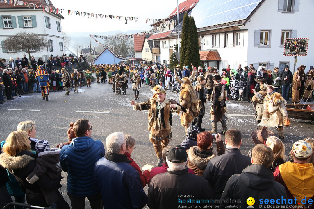 Narrensprung: Hasenweiler am Bodensee, 12.01.2014