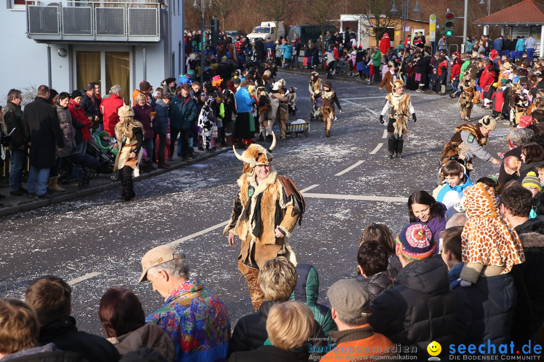 Narrensprung: Hasenweiler am Bodensee, 12.01.2014