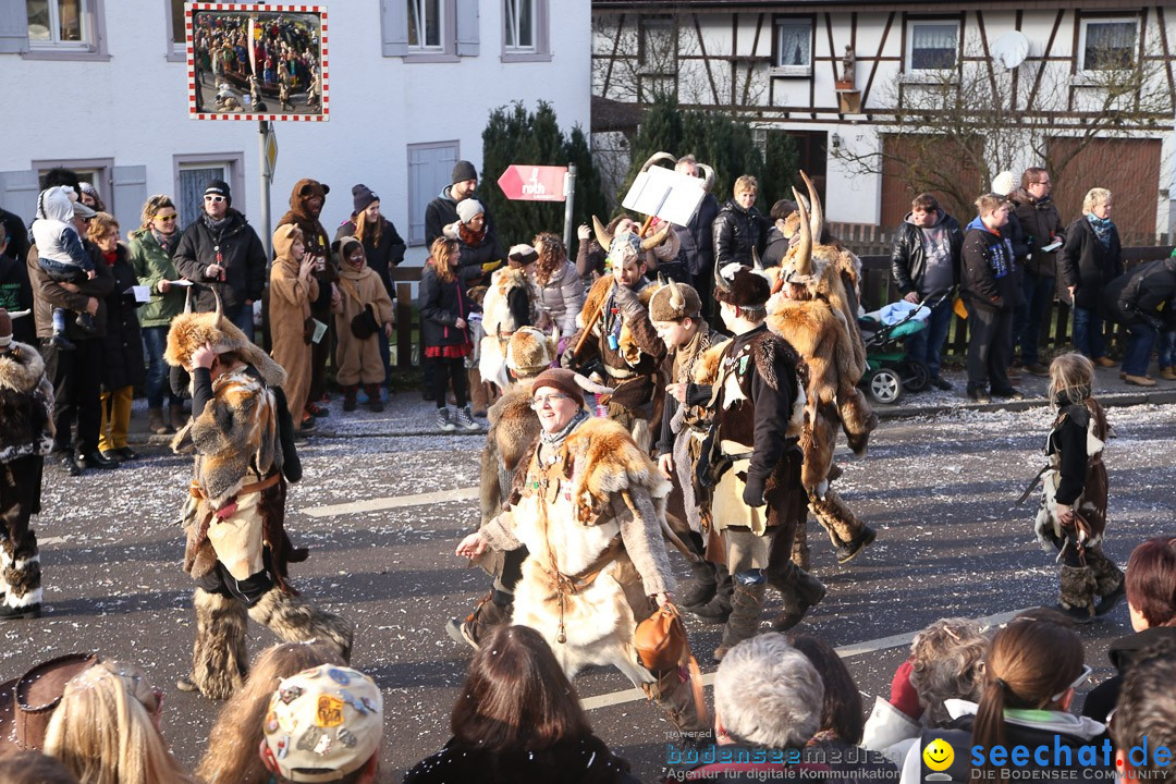 Narrensprung: Hasenweiler am Bodensee, 12.01.2014