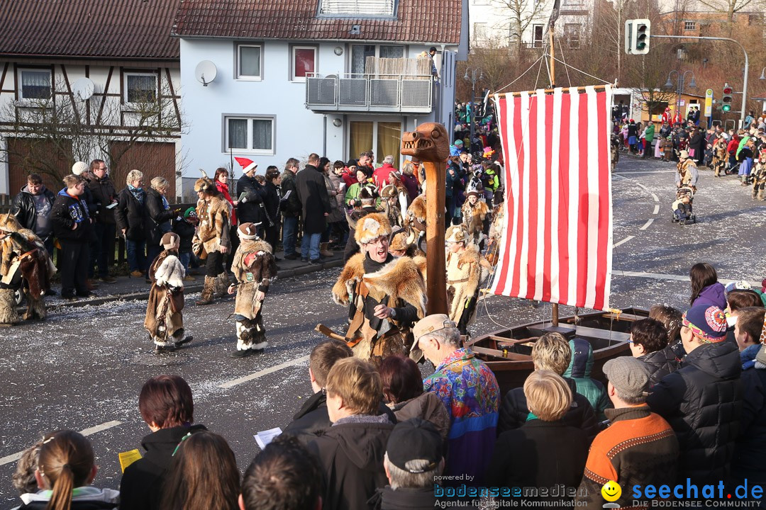 Narrensprung: Hasenweiler am Bodensee, 12.01.2014