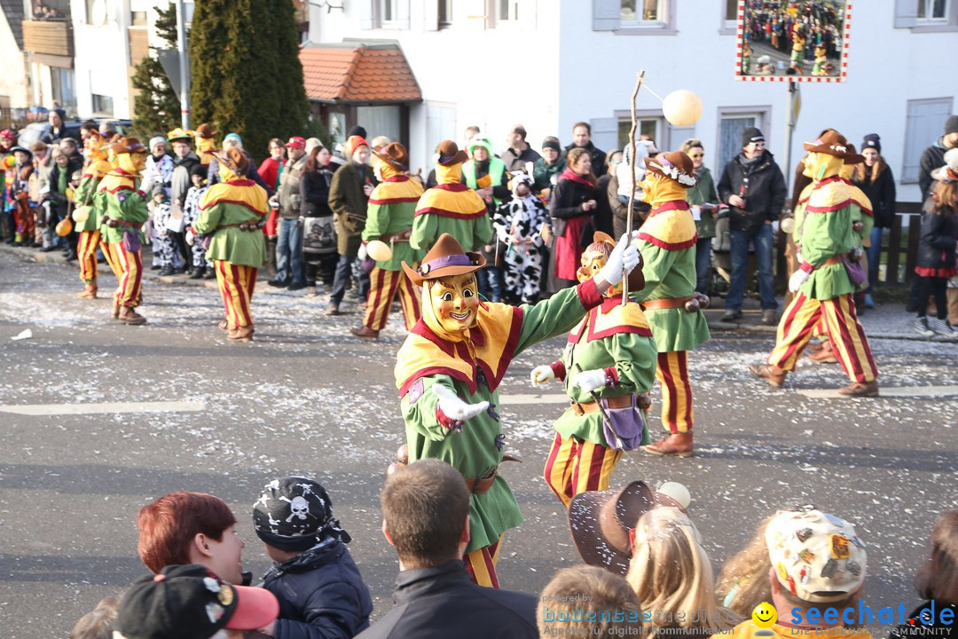 Narrensprung: Hasenweiler am Bodensee, 12.01.2014