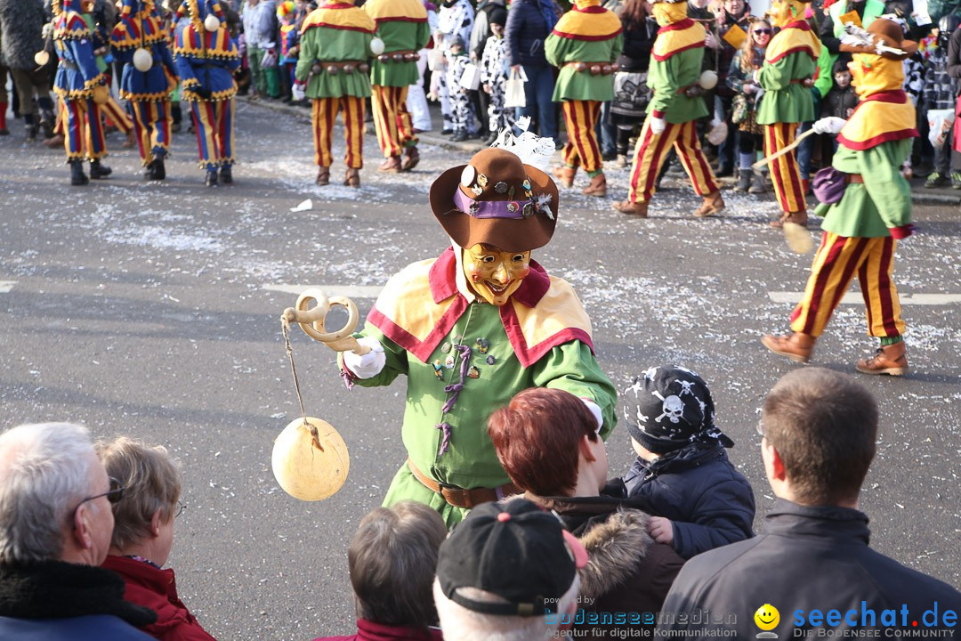 Narrensprung: Hasenweiler am Bodensee, 12.01.2014